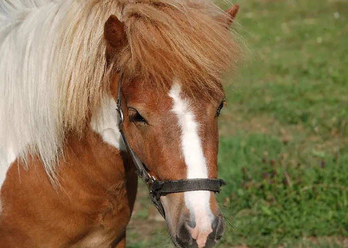 L'horizon Des Landes
